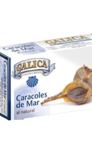 Caracol de mar 120 ml. 4 unidades